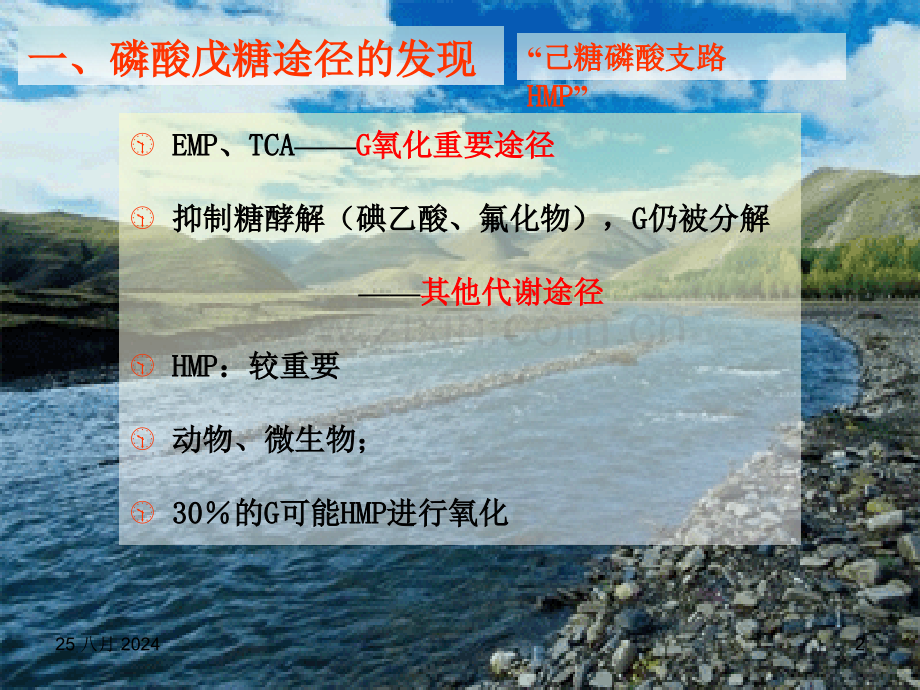 烟大生化25.pptx_第2页