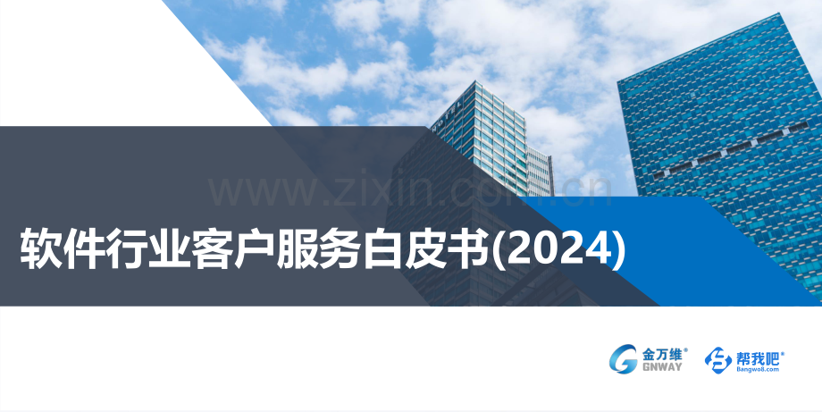 软件企业客户服务白皮书(2024).pdf_第1页