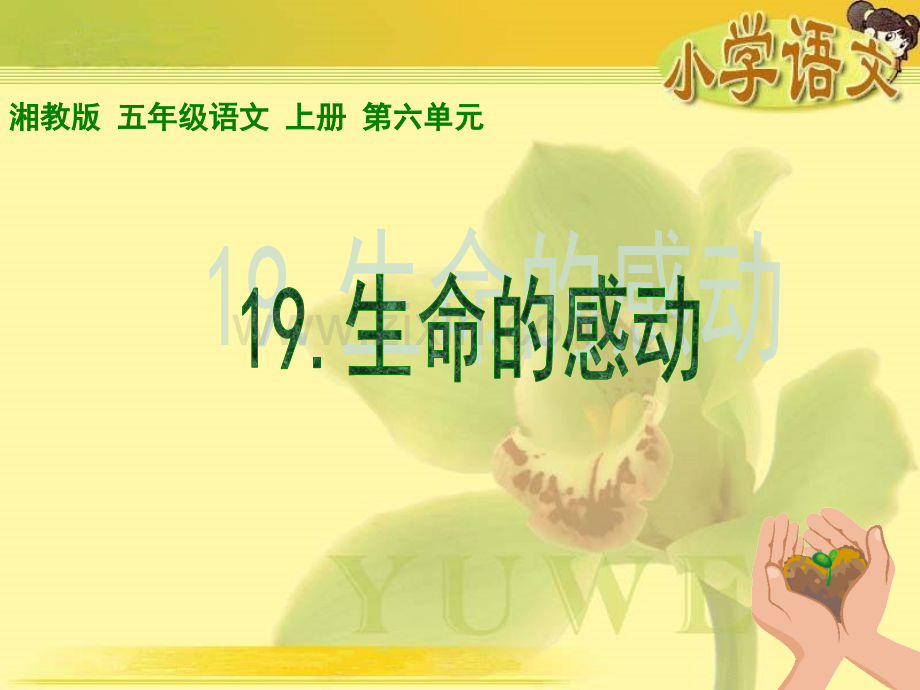 生命的感动课件.pptx_第1页