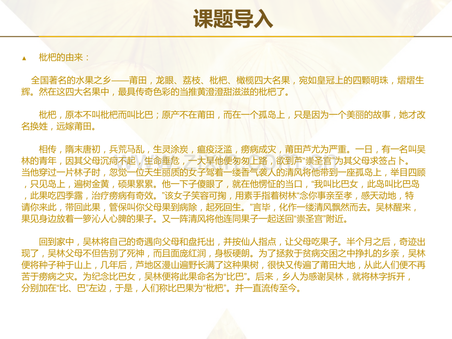 枇杷美术教育.pptx_第2页