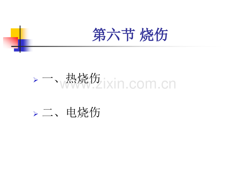 烧伤执业医师.pptx_第2页
