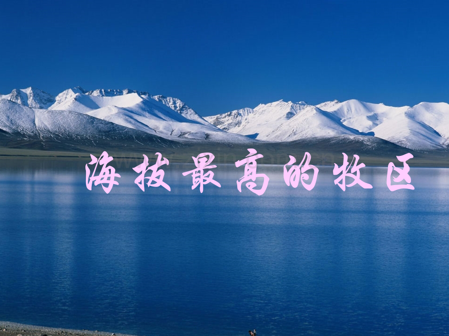 海拔最高的牧区上课七下社会新教材.pptx_第1页