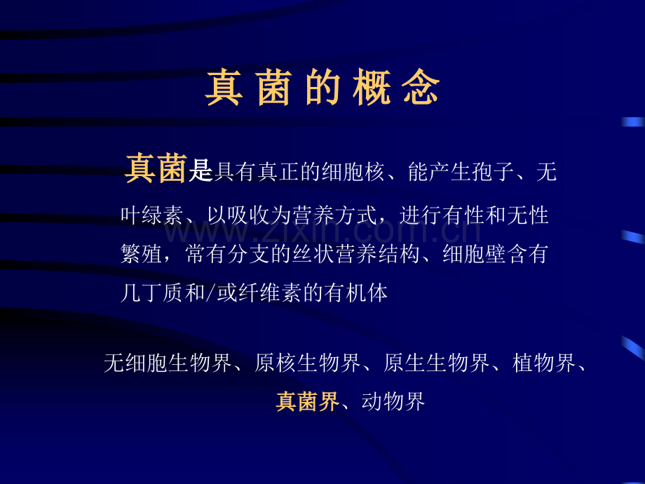 真菌变态反应儿研所会.pptx_第2页