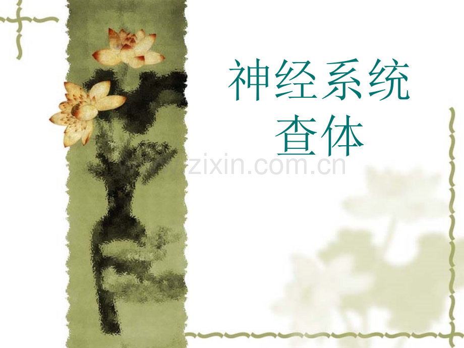 神经系统查体.pptx_第1页