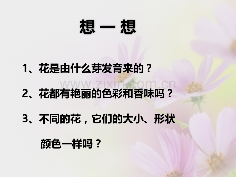 花的基本结构.pptx_第2页
