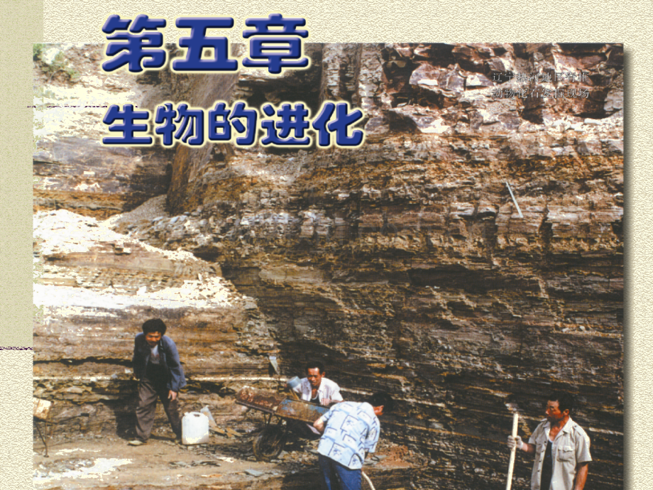 苏教版江苏地区生物学科生物进化理论发展资料.pptx_第1页