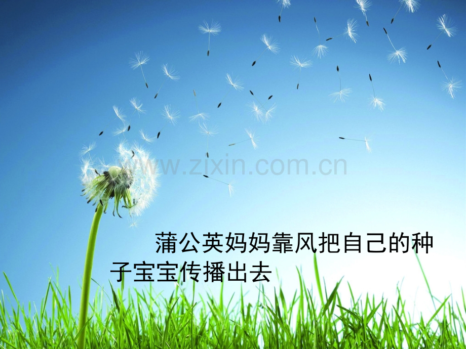 苏教版三上语文练习3.pptx_第2页