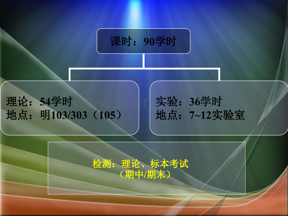 绪论骨总骨连结总.pptx_第1页