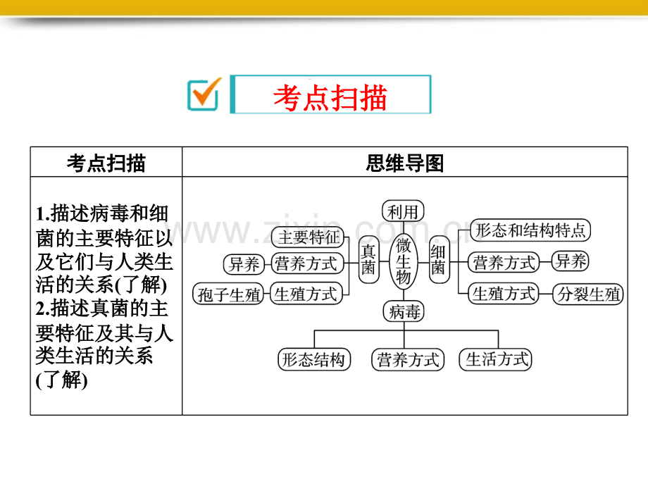 细菌和真菌复习.pptx_第2页