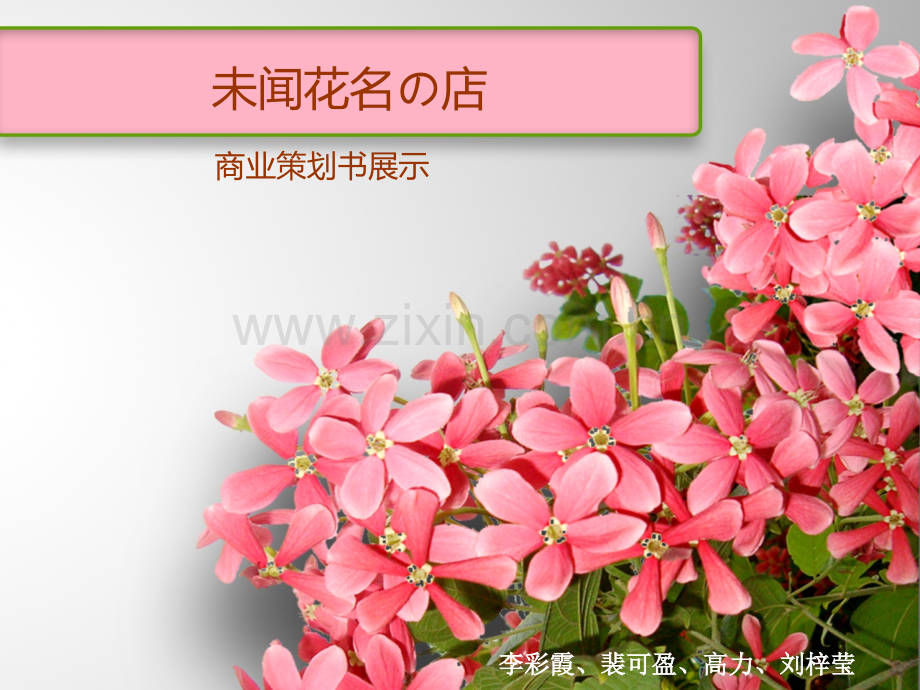 花店经营策划书.pptx_第1页