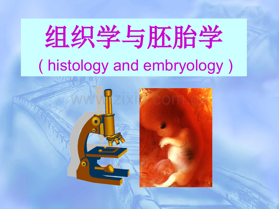 绪论组织学和胚胎学.pptx_第1页