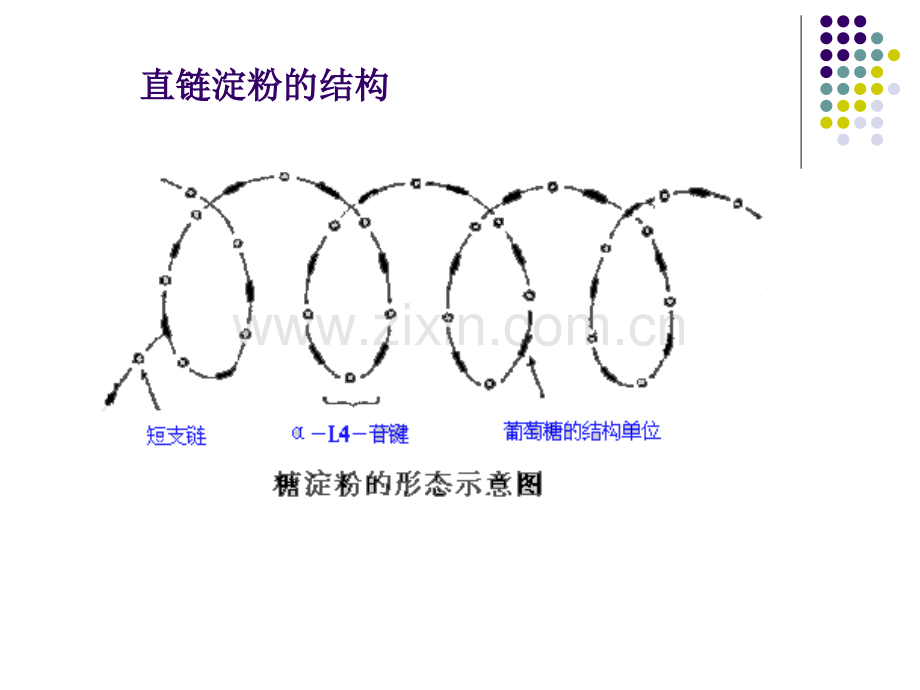 淀粉水解糖的制备.pptx_第2页