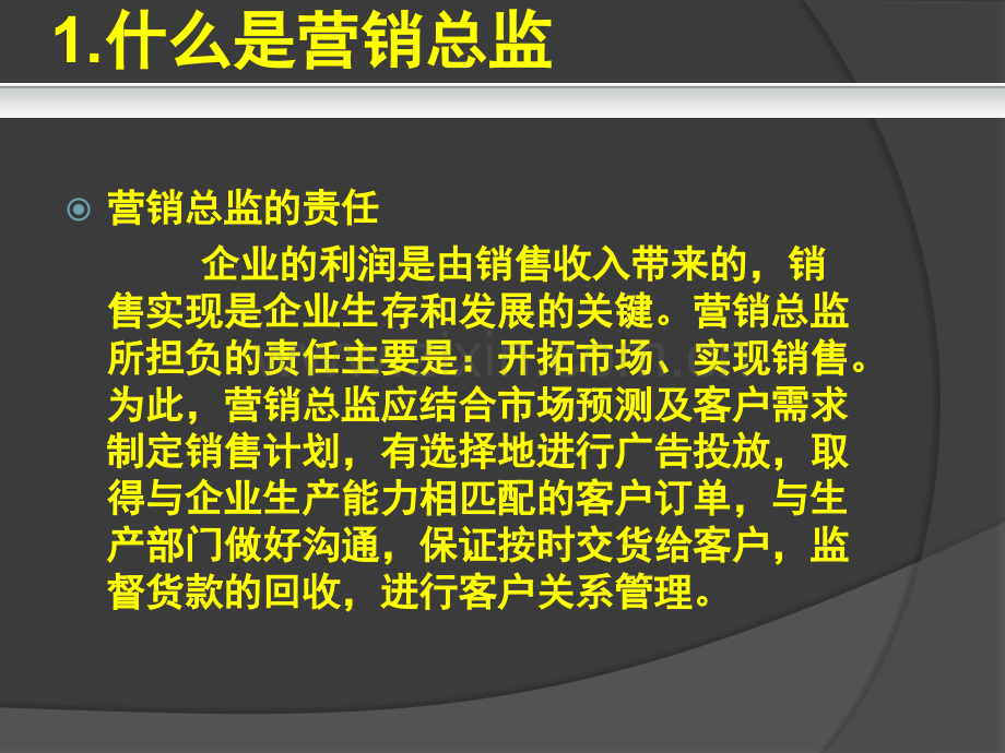 营销总监.pptx_第2页