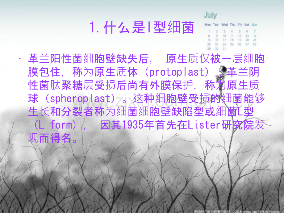 细菌l型的形成.pptx_第2页