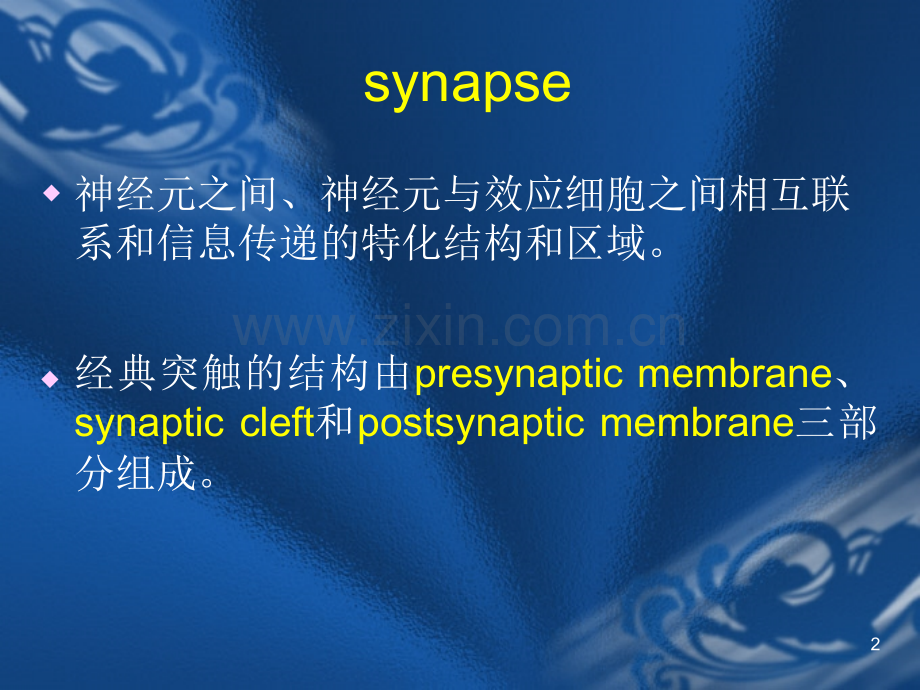 突触的功能.pptx_第2页