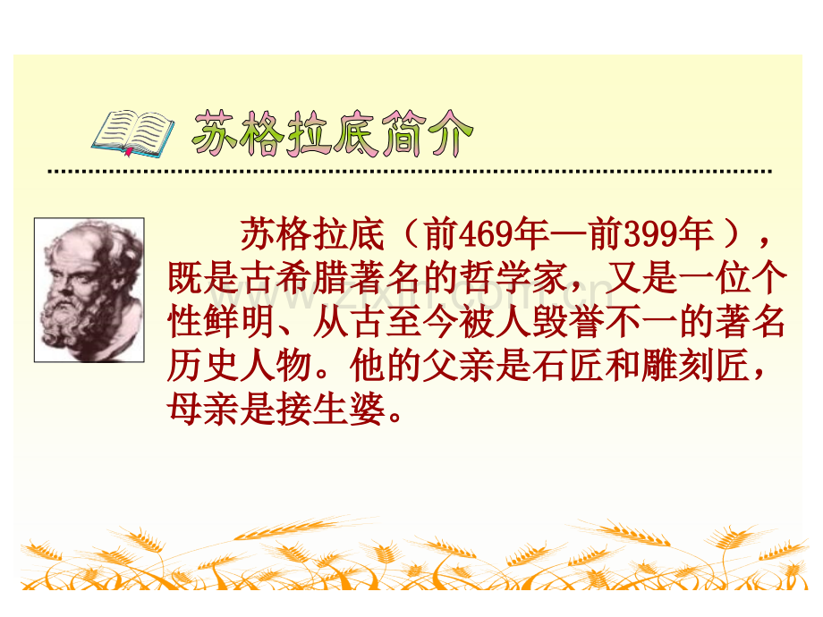 最大的麦穗讲课用分析.pptx_第2页
