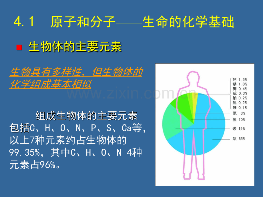 生命的基本化学组成.pptx_第1页