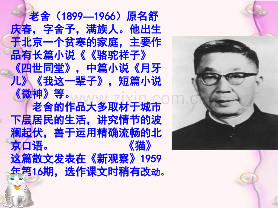 猫优质.pptx_第2页