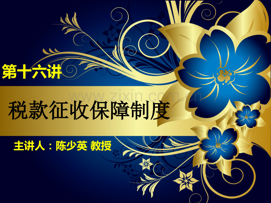 税收强制执行的对象.pptx_第1页