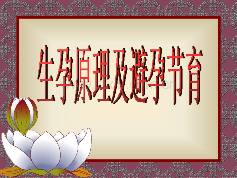 生孕原理及避孕节育.pptx_第1页