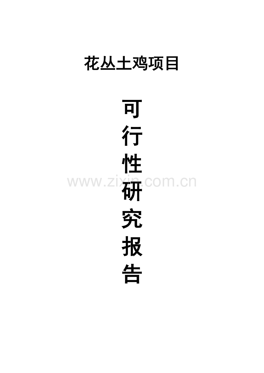 花丛土鸡项目可行性研究报告.doc_第1页