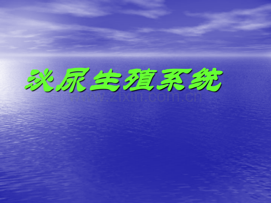 泌尿生殖系统.pptx_第1页