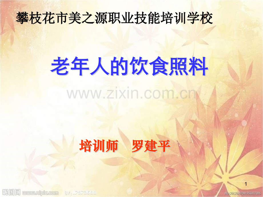 老年人的饮食护理罗建平六.pptx_第1页