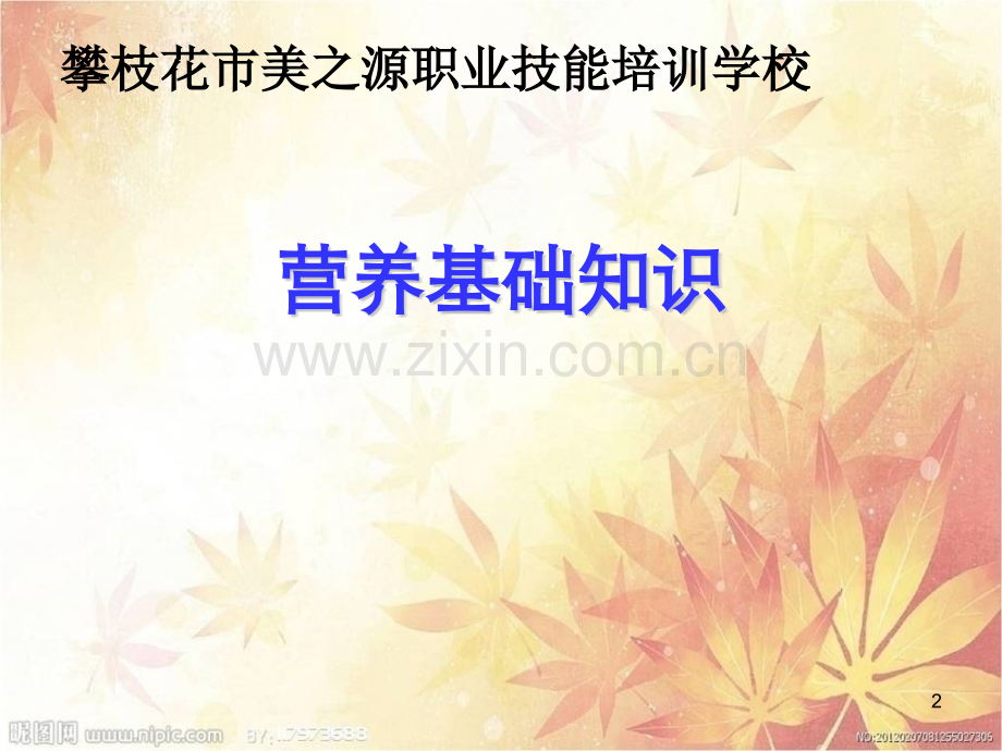老年人的饮食护理罗建平六.pptx_第2页