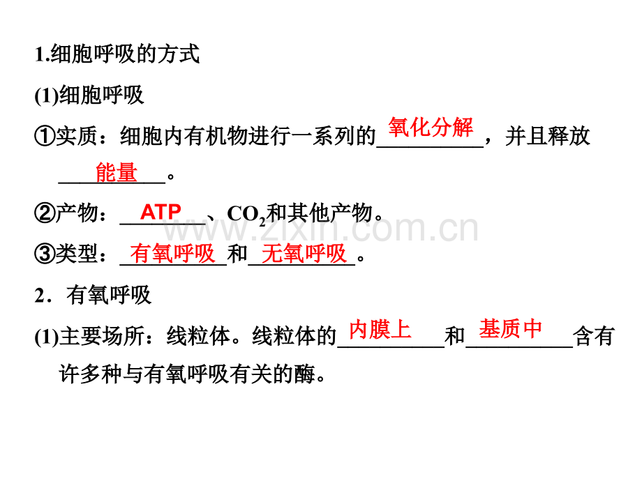 细胞的能量供应与利用细胞呼吸.pptx_第1页