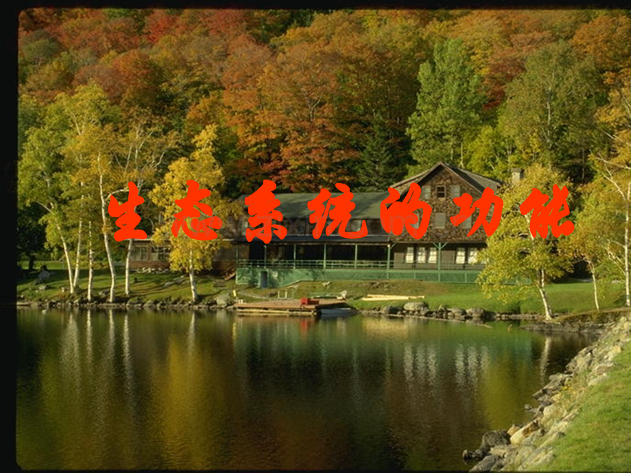 生态系统的功能段满翠.pptx_第1页