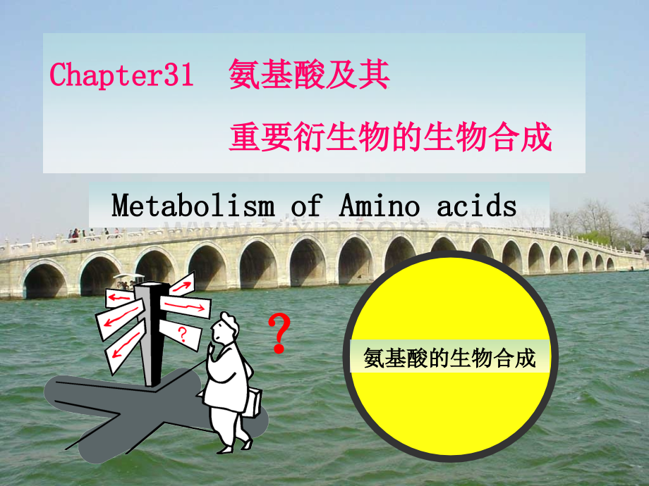 烟大生化3132.pptx_第1页