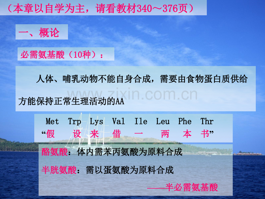 烟大生化3132.pptx_第2页