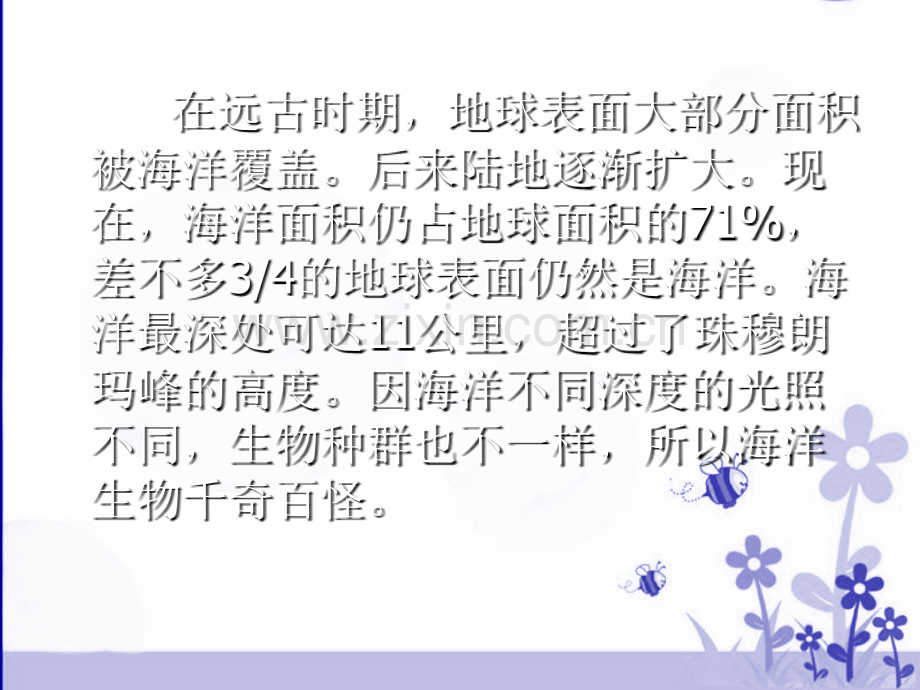 海洋生物公开课.pptx_第1页