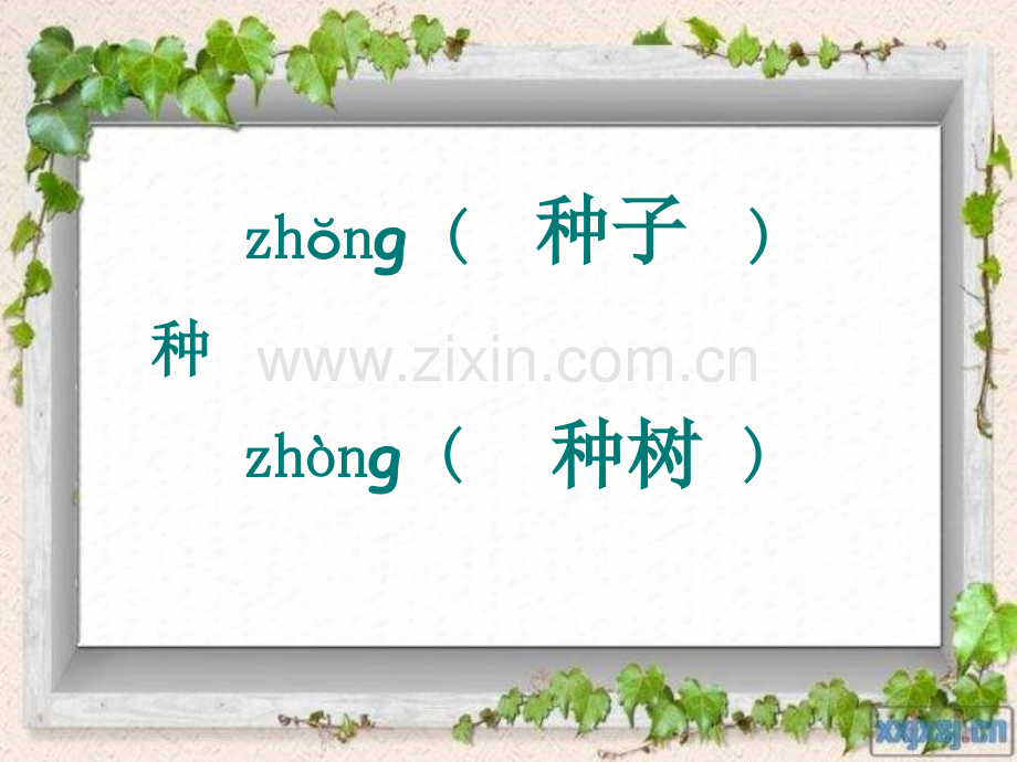 语文A版二下一粒种子.pptx_第2页