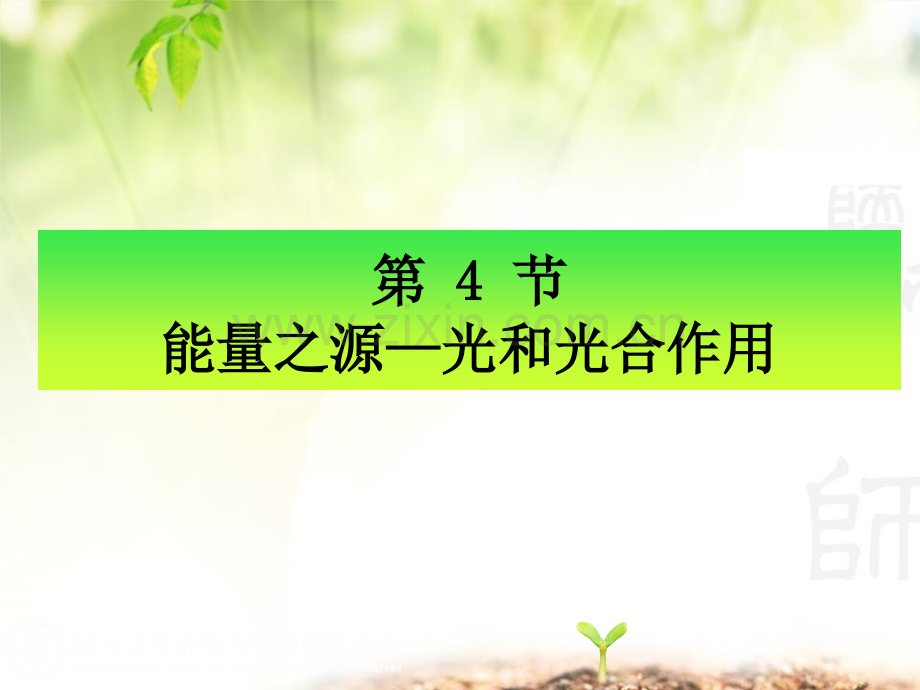 节能量之源光和光合作用.pptx_第1页