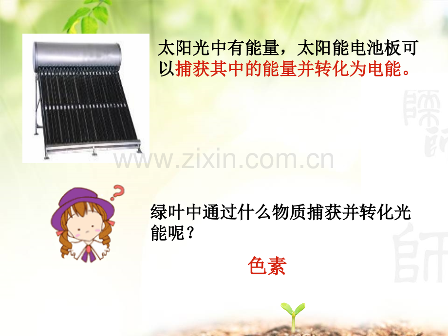 节能量之源光和光合作用.pptx_第2页