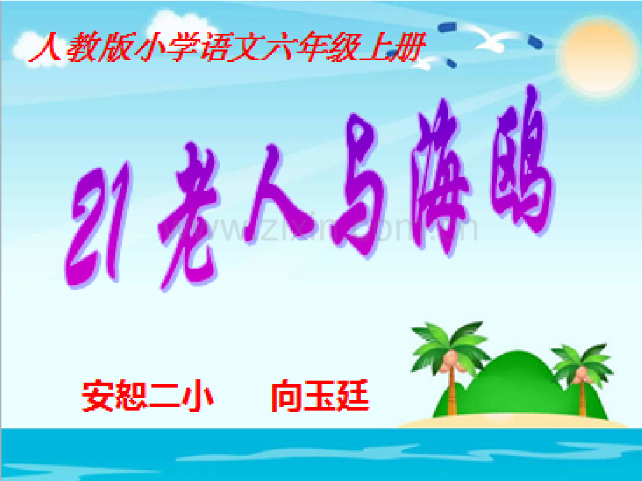 老人与海鸥课件PPT成.pptx_第1页