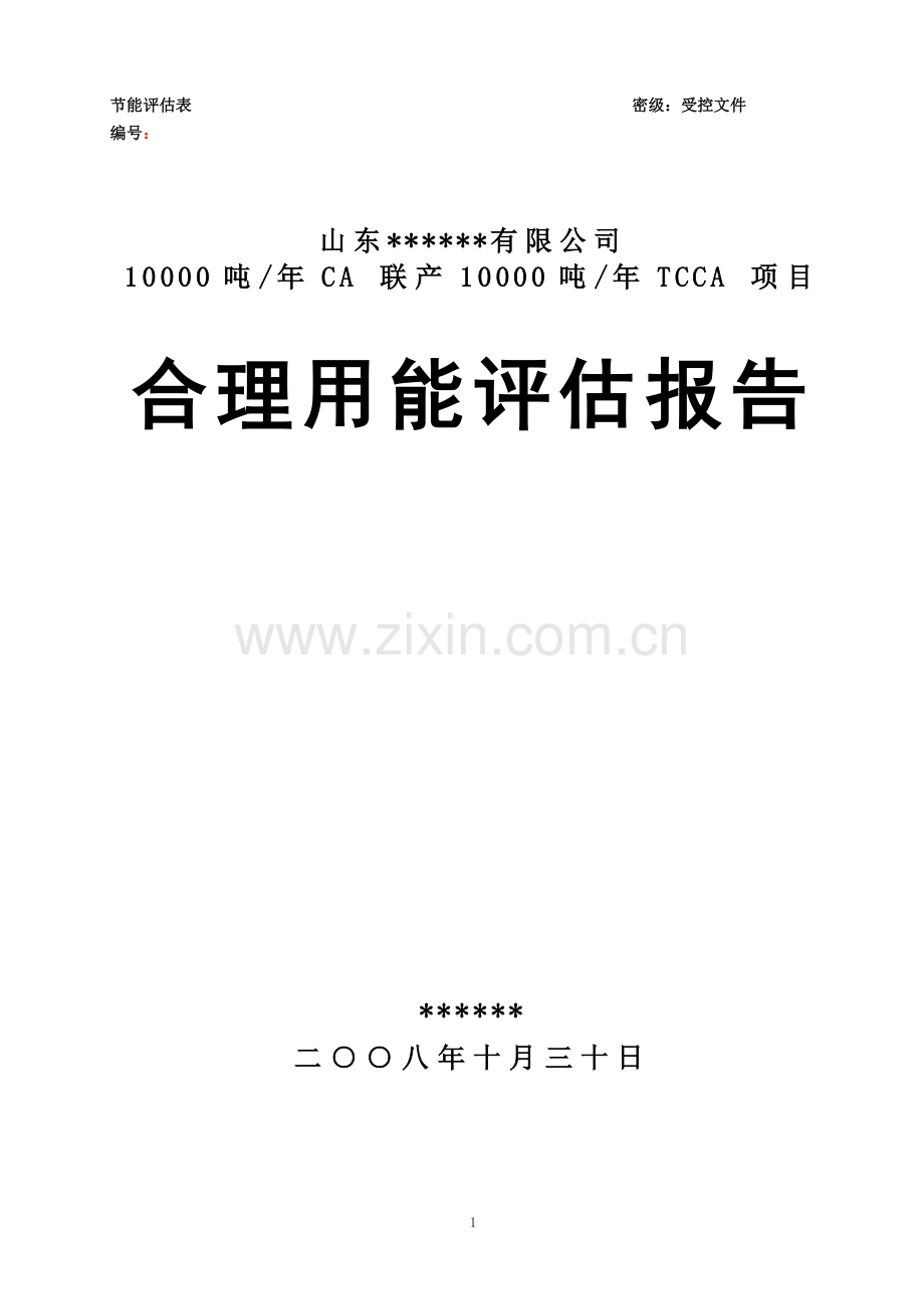 10000吨年ca联产10000吨年tcca项目合理用节合理用能评估报告估报告估报告.doc_第1页
