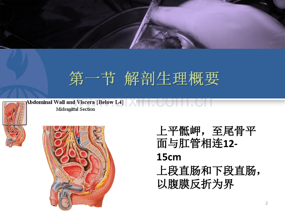 结直肠与肛管疾病.pptx_第2页
