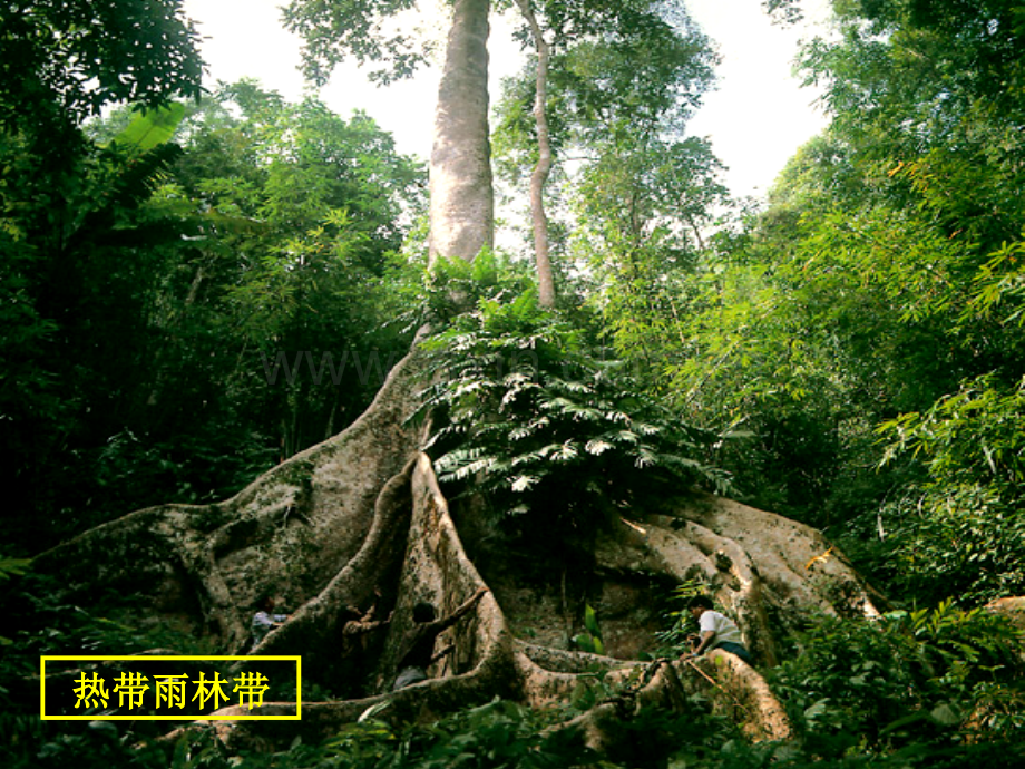 自然地理环境的差异性.pptx_第2页