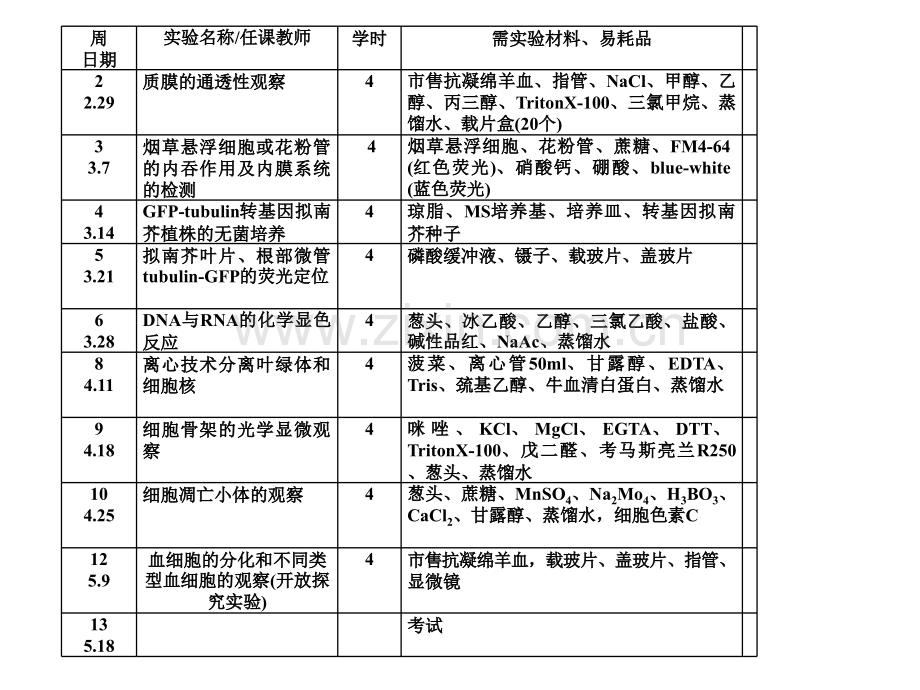细胞膜的渗透性.pptx_第2页