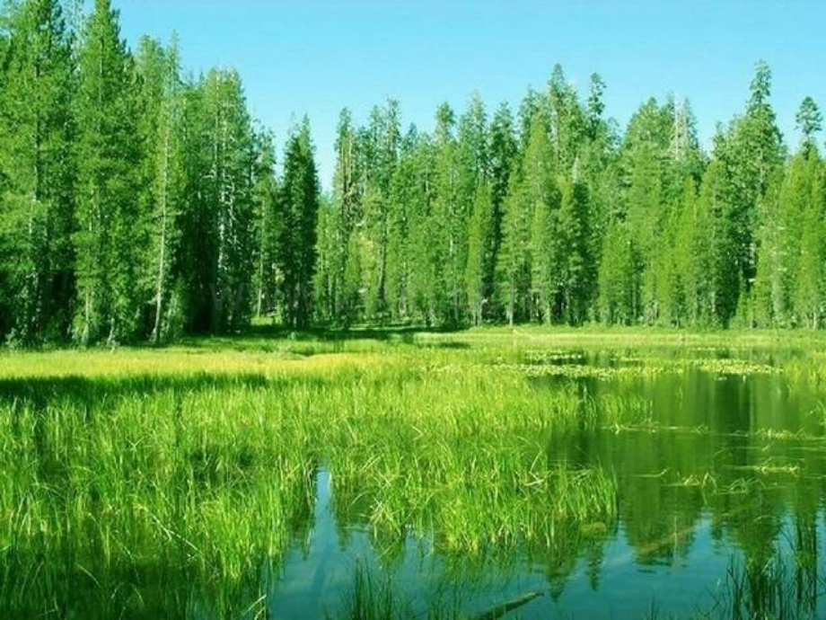 综合性学习感受自然.pptx_第1页