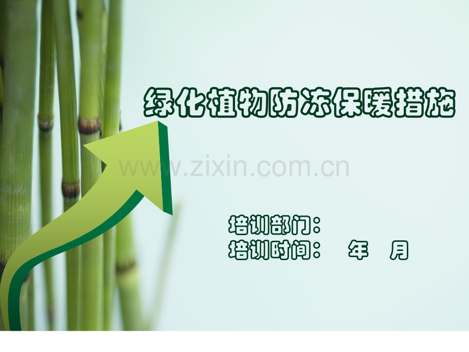 绿化植物防冻保暖措施.pptx_第1页