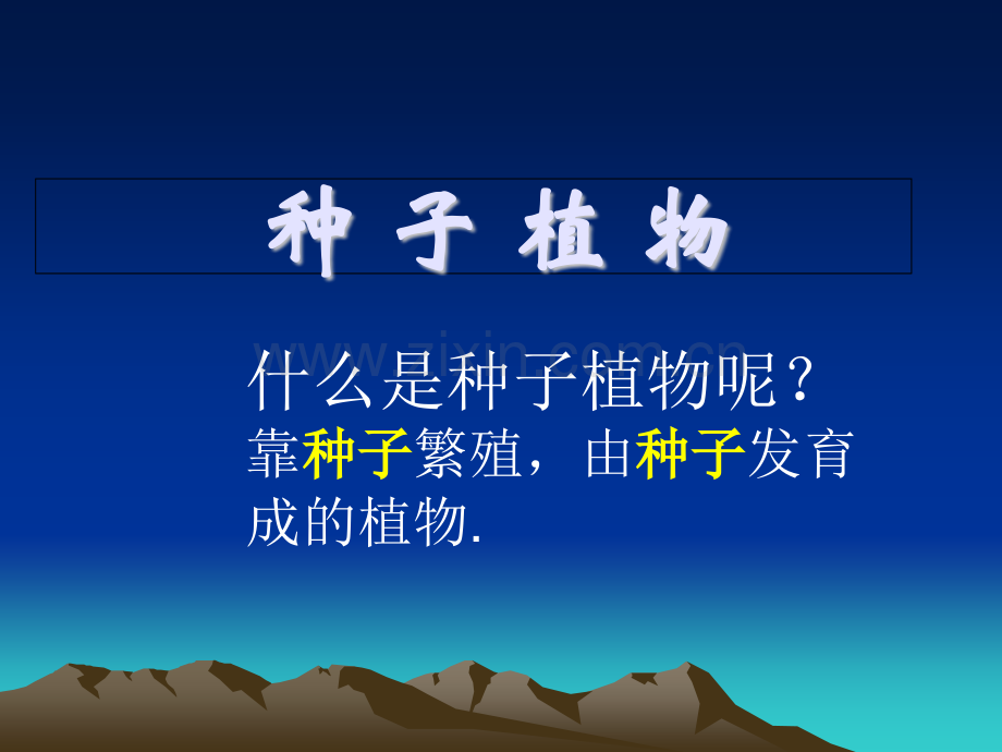 种子植物.pptx_第1页