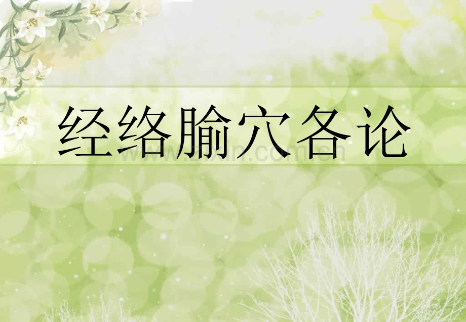 经外奇穴.pptx_第1页