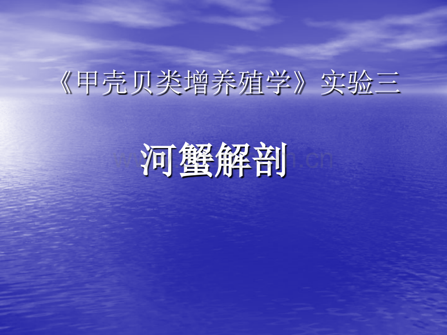 河蟹解剖.pptx_第1页