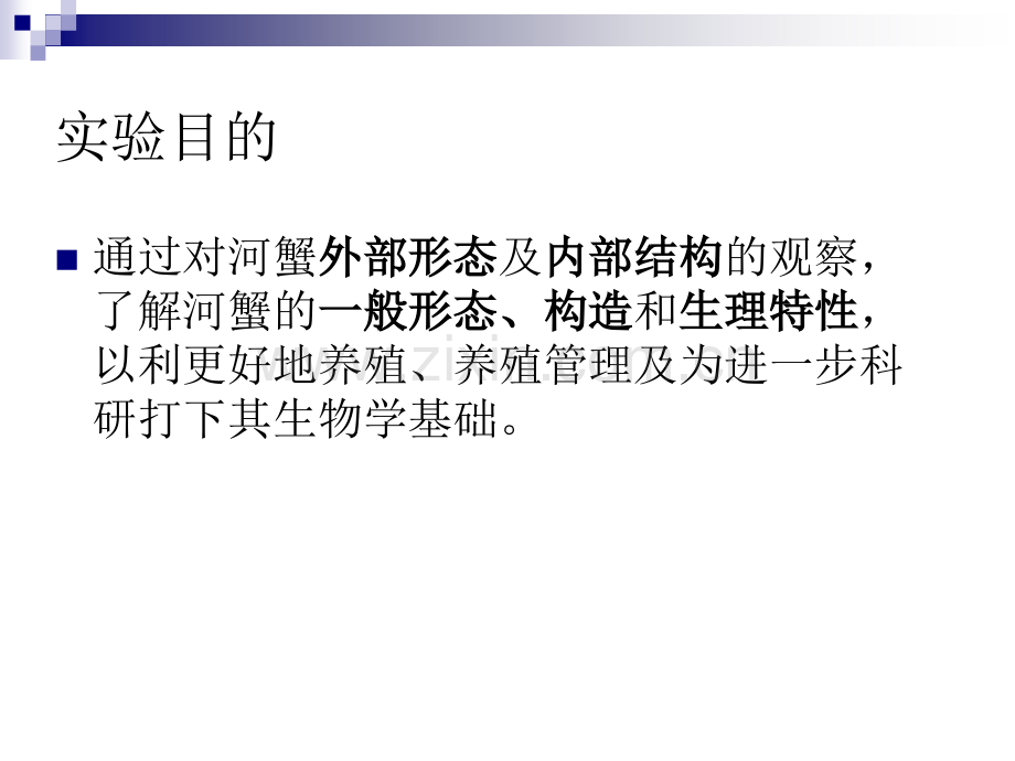 河蟹解剖.pptx_第2页