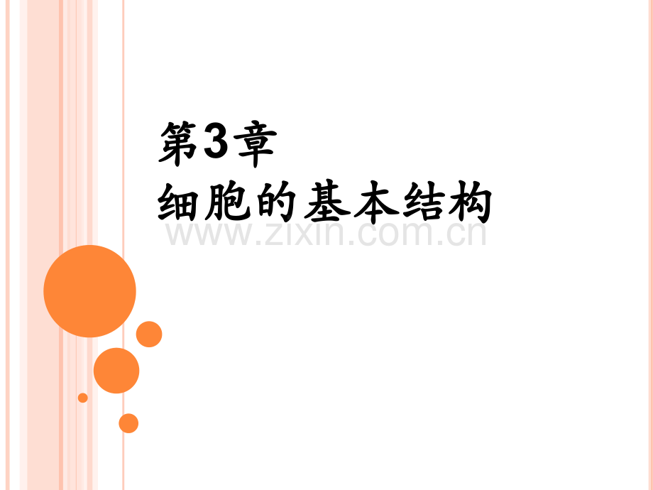 细胞膜—系统的边界PPT.pptx_第1页