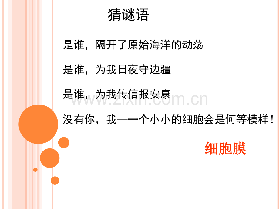 细胞膜—系统的边界PPT.pptx_第2页