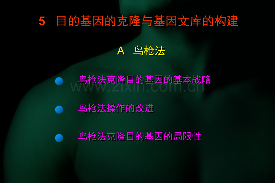 目的基因的克隆与基因文库的构建.pptx_第2页